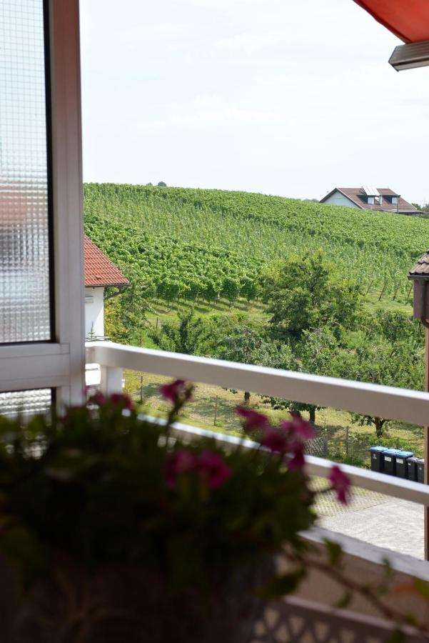 Ferienwohnung Seaview Meersburg Esterno foto